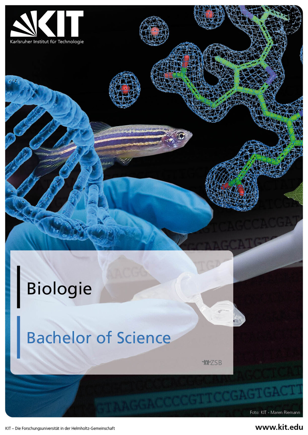 Biologie am KIT (Broschüre)