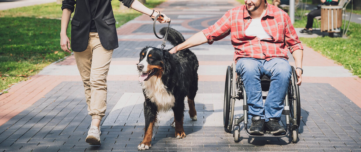 Junger Mann im Rollstuhl mit Assistenzhund und Begleitung