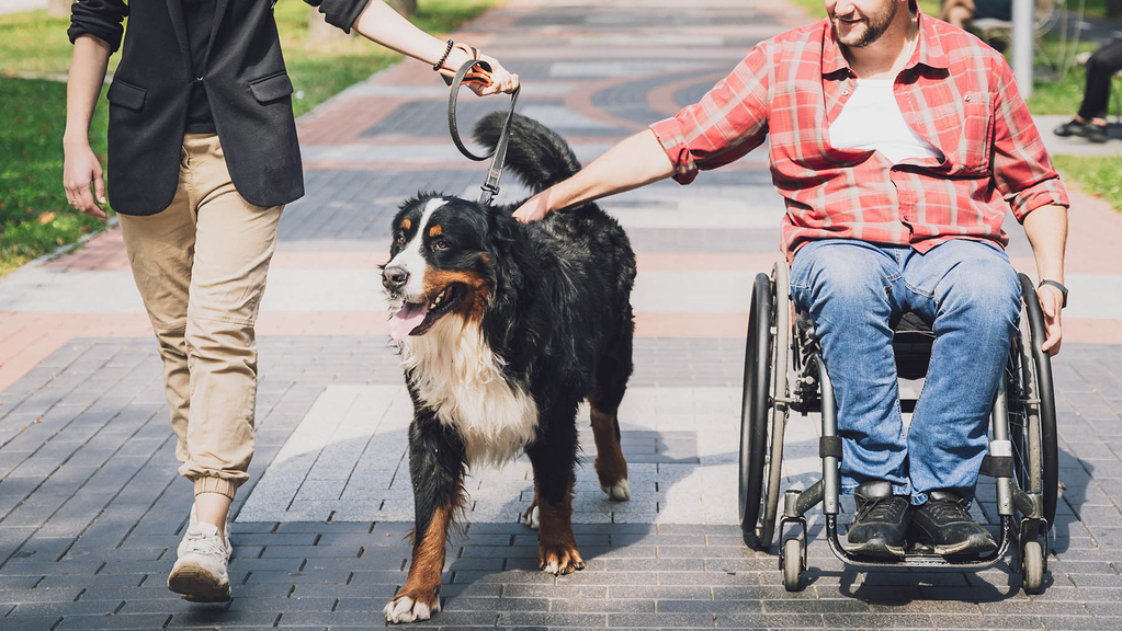 Junger Mann im Rollstuhl mit Assistenzhund und Begleitung